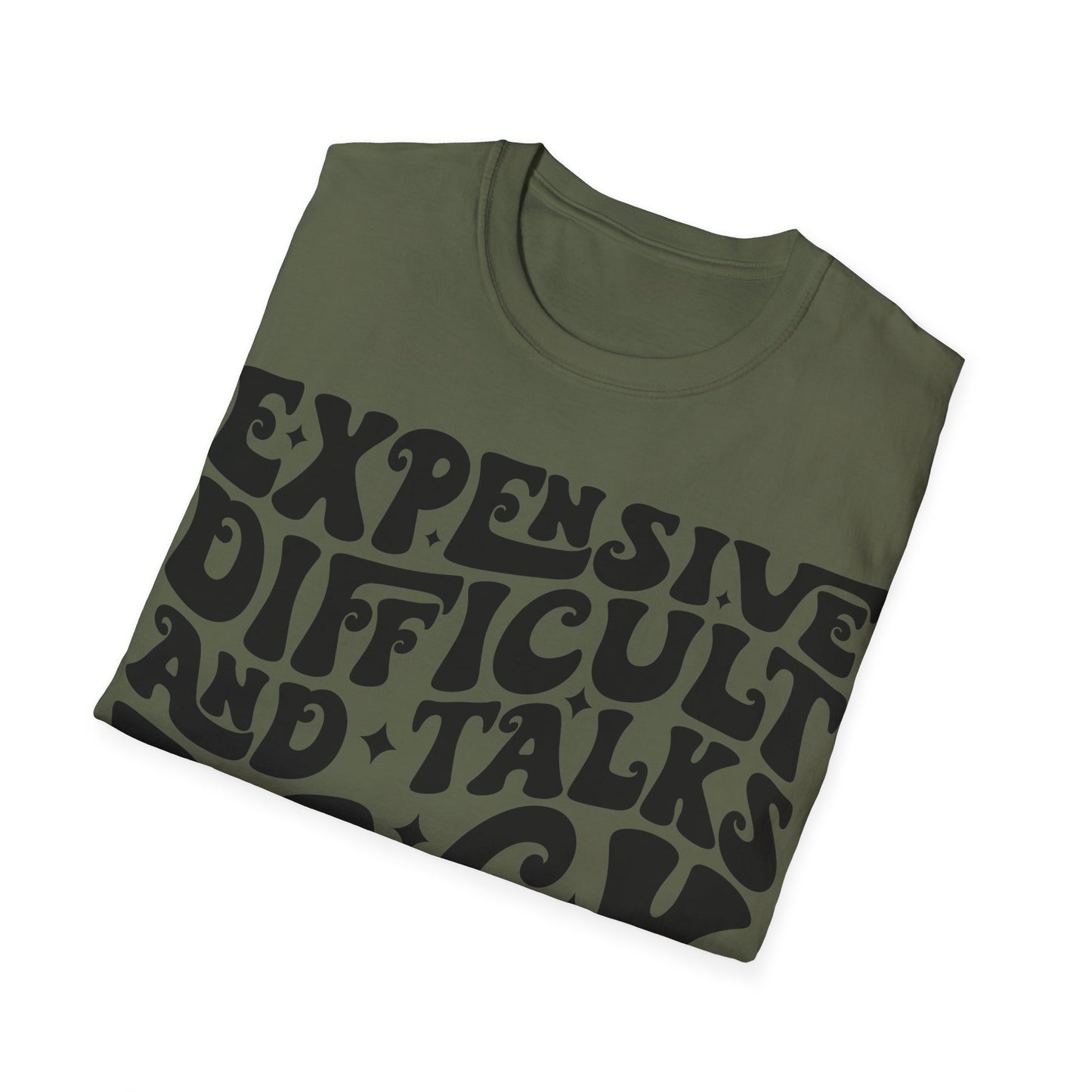 Funny Womens Expensive T-Shirt