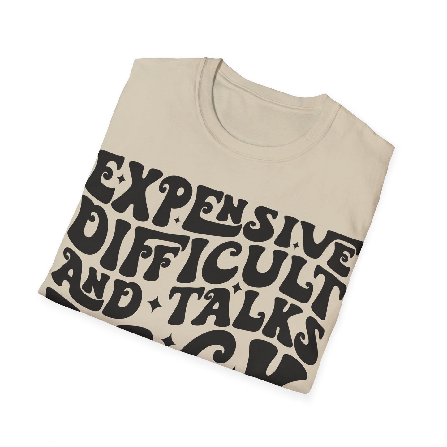 Funny Womens Expensive T-Shirt