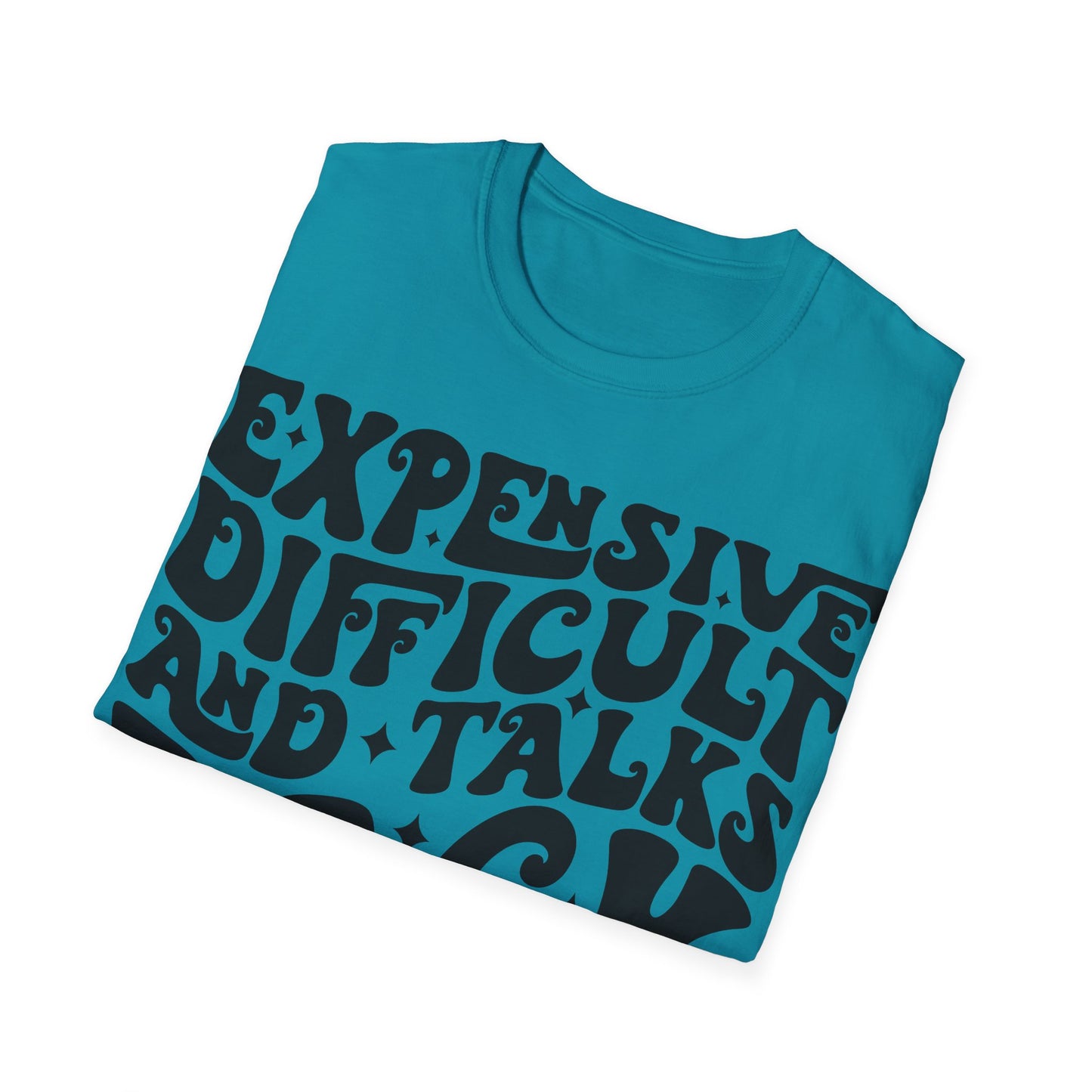 Funny Womens Expensive T-Shirt