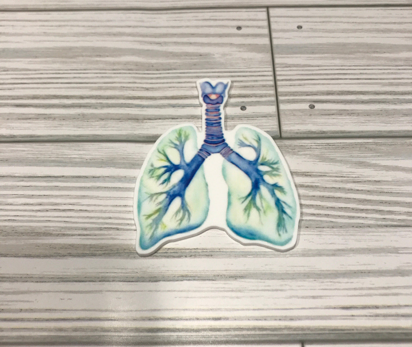 BOGG BAG compatible tote charms, lungs, heart, awareness ribbon, radiology, brain purse charm for Bogg bag