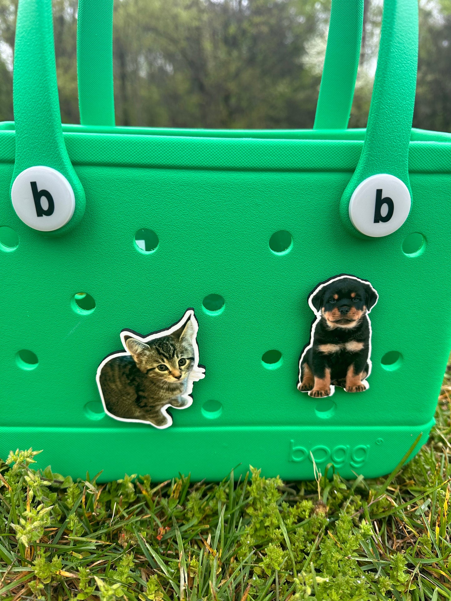 Custom pet picture charm for Bogg bags, pet lover gift for Bogg bags, Bogg compatible picture charm